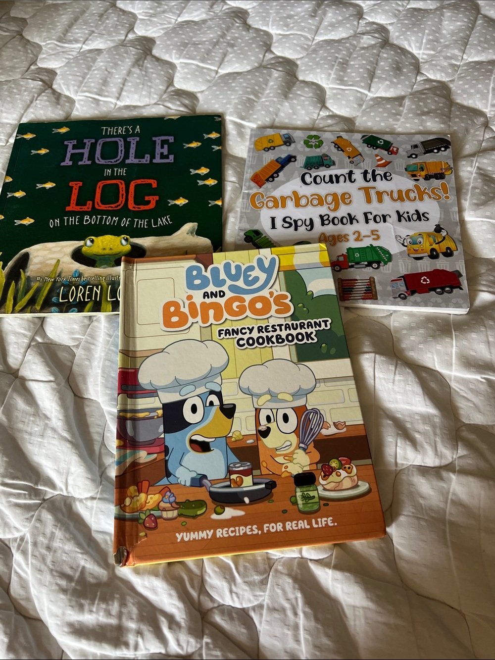 Bluey and bingo, I spy book, there’s a hole in the log - kids books